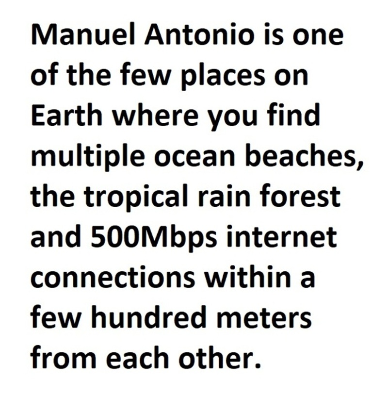 Ocean, jungle, fiber optic